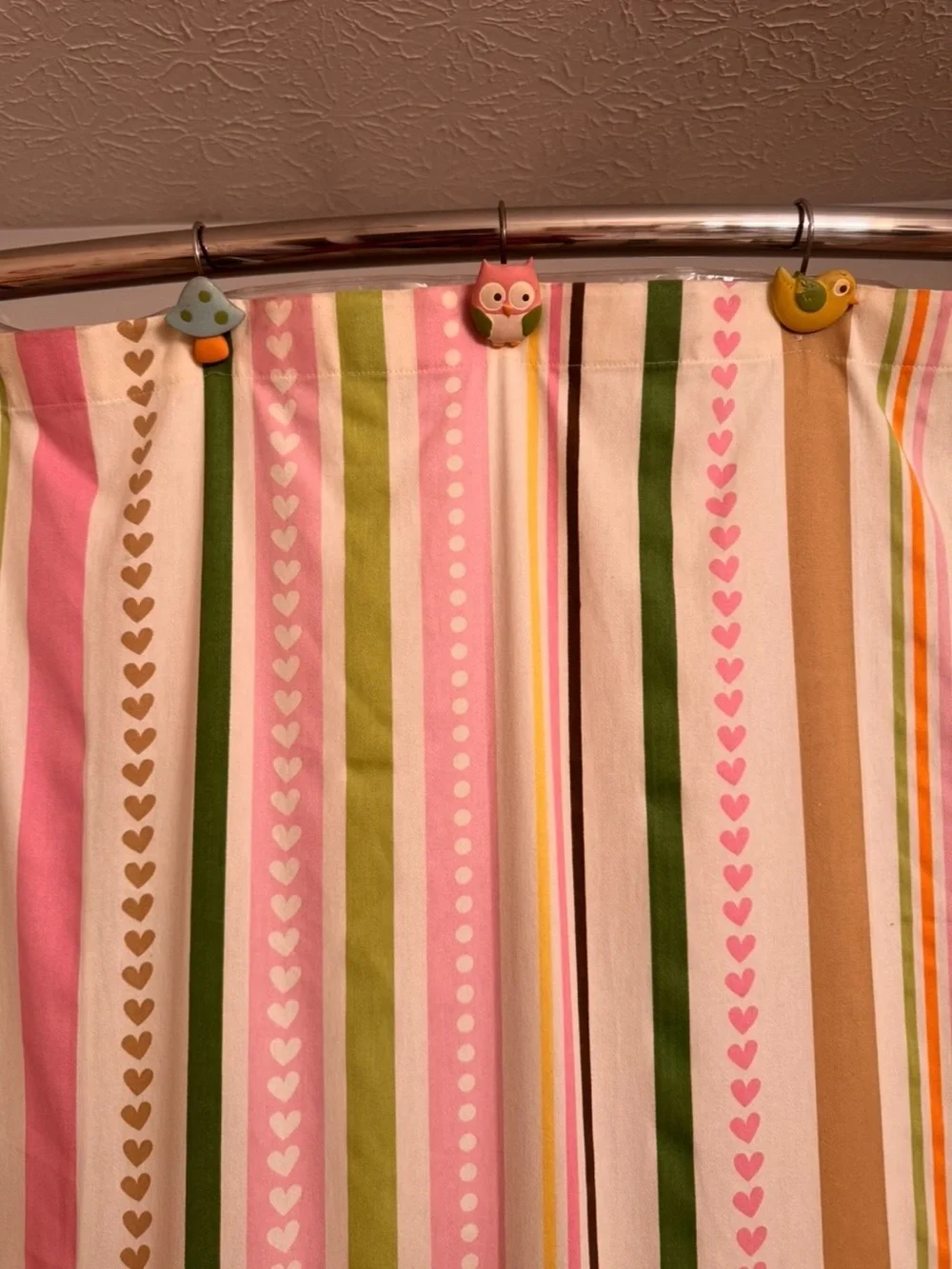 Circo owl striped
